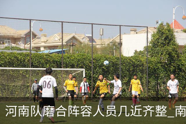 河南队磨合阵容人员几近齐整 南基一剑指中超前六
